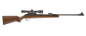 Diana RWS 34 Air Rifle